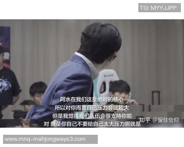 王者荣耀TES战队比赛经验深度解析与策略分享